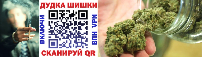 Конопля планчик  закладка  Яблоновский 